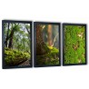 3 obrazy w ramach mech leśny chrobotek 99x43 cm