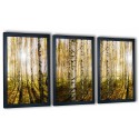 3 obrazy w ramach las brzozowy 99x43 cm