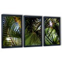 3 obrazy w ramach liście palmowe 99x43 cm