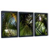 3 obrazy w ramach liście palmowe 99x43 cm