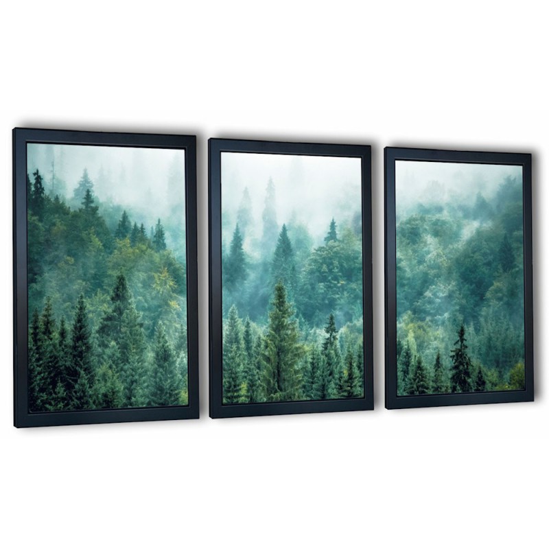 3 obrazy w ramach las we mgle 99x43 cm