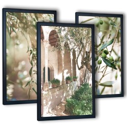 Obrazy do salonu włoskie drzewa oliwne