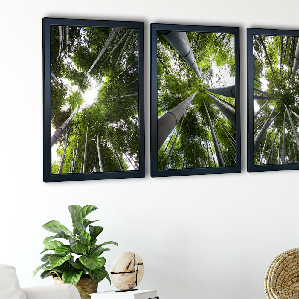 Obraz las bambusowy na ścianie zbliżenie