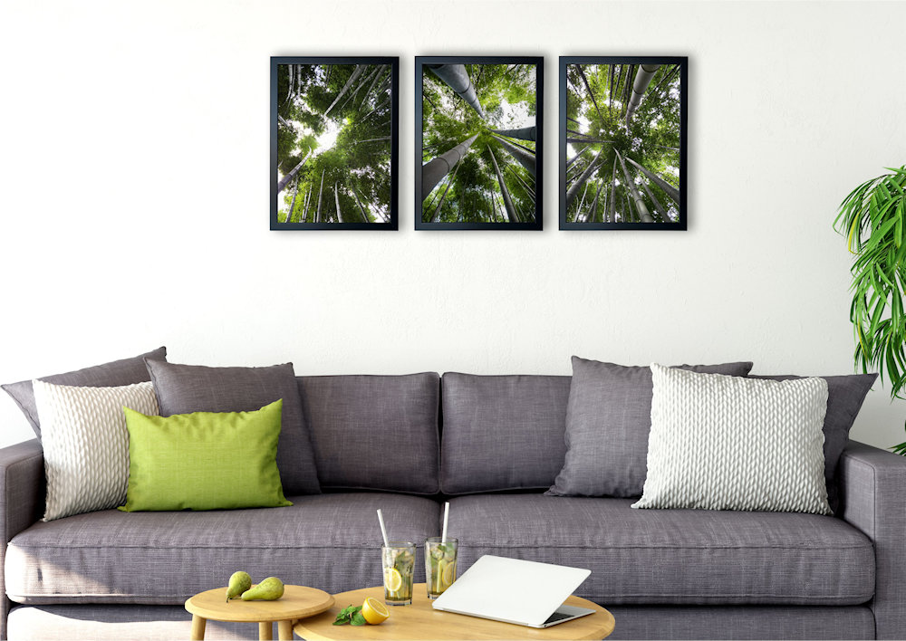 Obrazy las bambusowy nad kanapą