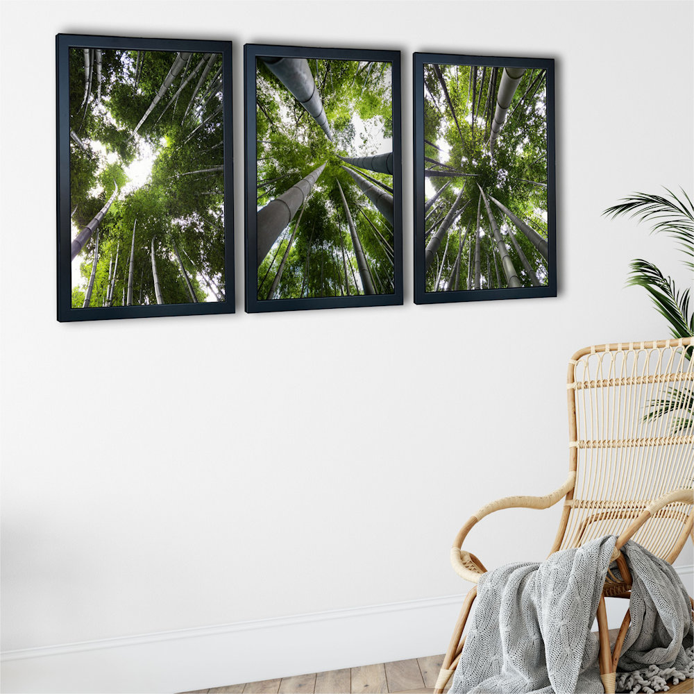 Obraz las bambusowy na białej ścianie zbliżenie
