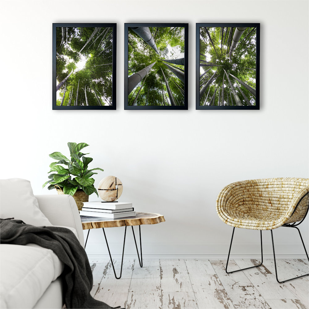 Obraz las bambusowy na ścianie