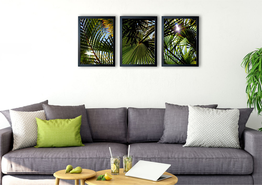 liście palmowe nad kanapą