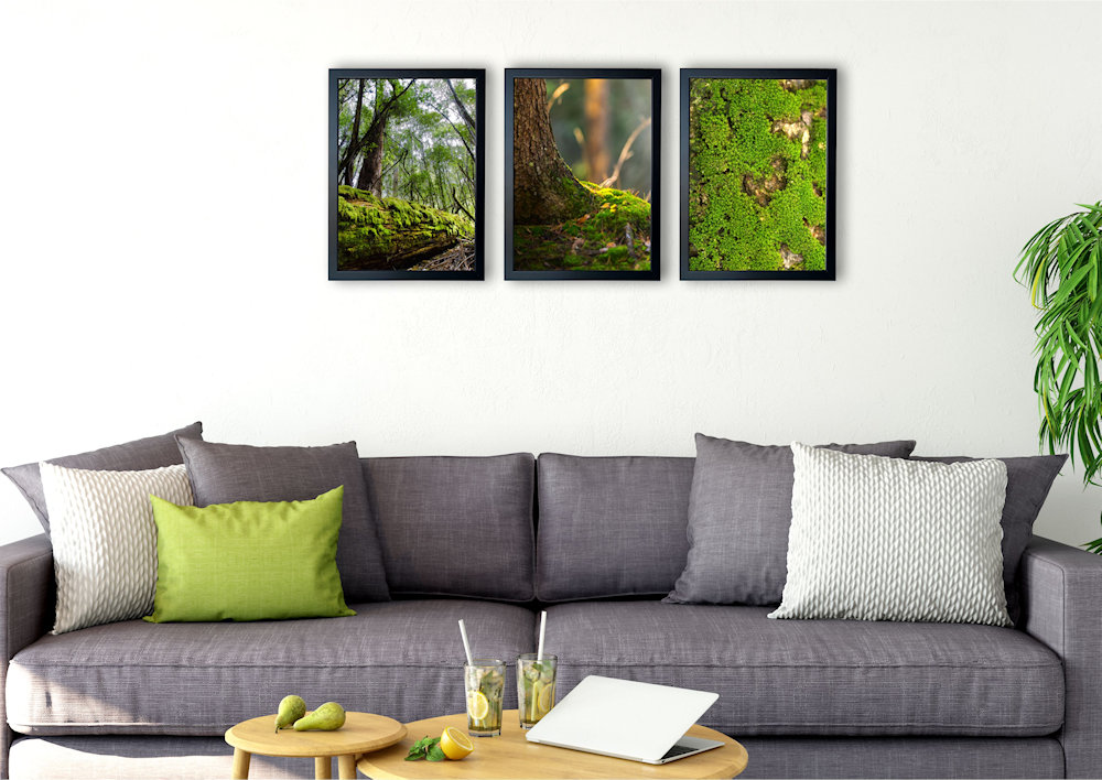 Obrazy mech drzewny nad kanapą