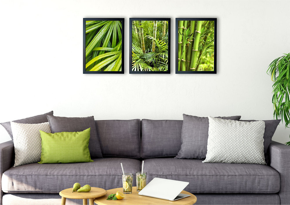 zielone bambusy nad kanapą