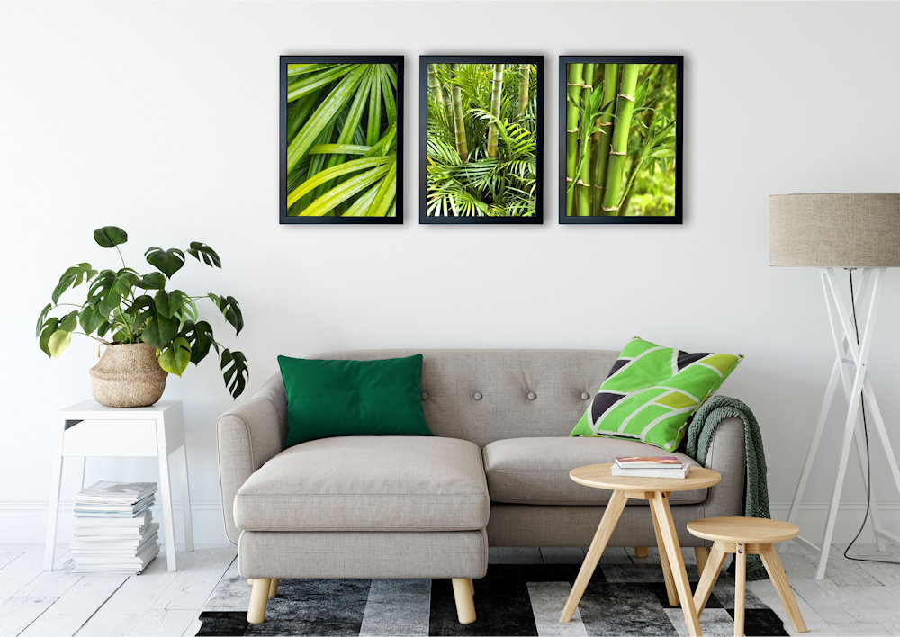 zielone bambusy nad stylową kanapą pod kątem